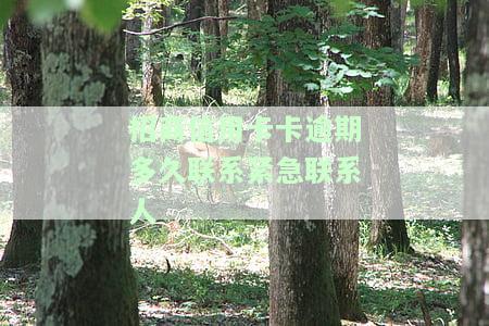 招行逾期多久打联系人，了解招行信用卡逾期后，多久会拨打联系人电话？