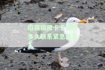 招商逾期多久会给家人打电话催收？会影响征信吗？上门催款的规定是什么？