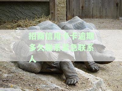 招商信用卡卡逾期多久联系紧急联系人