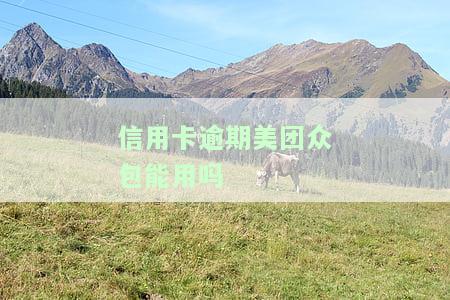 有逾期美团信用卡能下吗？逾期是否会影响申请、使用和信用记录？