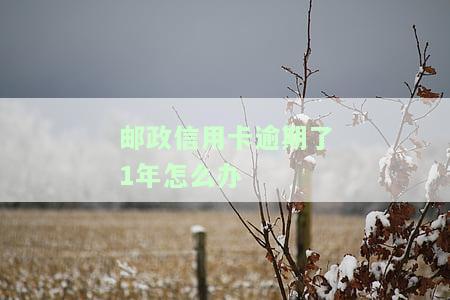 邮政信用卡逾期了1年怎么办理，邮政信用卡逾期一年如何处理？