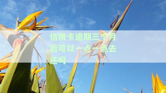 欠信用卡逾期3个月,可不可以分期还，信用卡逾期3个月，能否申请分期还款？