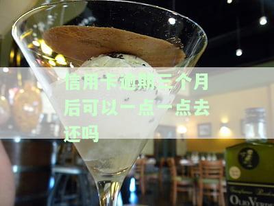 信用卡逾期三个月后可以一点一点去还吗-信用卡逾期三个月后可以一点一点去还吗