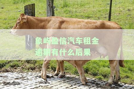 象屿盈信汽车租金逾期有什么后果-象屿盈信汽车租金逾期有什么后果吗