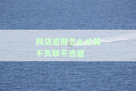 网贷逾期后是怎么度过的，艰难时刻：揭秘网贷逾期后的度过方式