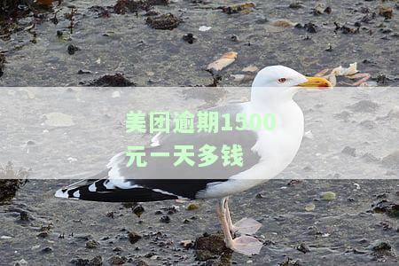 美团逾期几千块,一个月会怎样？是否会被告上法庭？