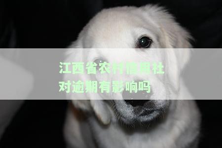 江西省农村信用社对逾期有影响？如何处理及稳妥解决办法？客服电话是多少？