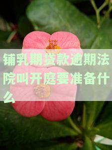铺乳期贷款逾期法院叫开庭要准备什么-哺乳期贷款逾期被起诉