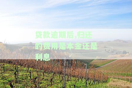 贷款逾期后,归还的费用是本金还是利息