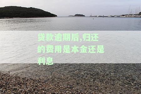 贷款逾期后,归还的费用是本金还是利息