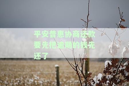 平安普协商还款流程：需先还逾期款，否则无法借款？