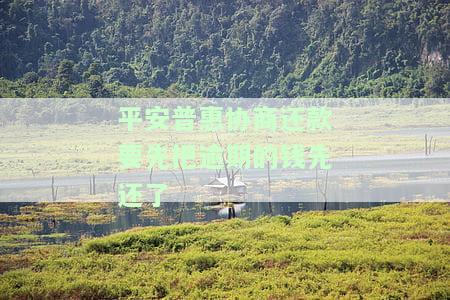我跟平安普协商还款,钱到了他们拖着，与平安普协商还款，为何资金到账却遭拖？