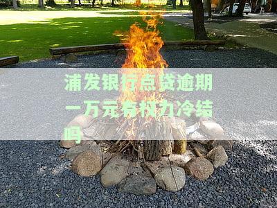 浦发银行欠了一万多,逾期一年了,可以协商还款吗，如何与浦发银行协商解决一万元的逾期贷款问题？