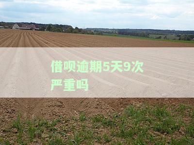 借呗逾期5天9次严重吗怎么办，警惕！借呗逾期5天9次，后果有多严重？教你如何解决