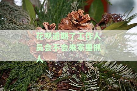 花呗逾期了工作人员会不会来家里抓人-花呗逾期了工作人员会不会来家里抓人呢