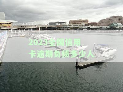 2023全国信用卡逾期负债多少人-2021年信用卡逾期总人数