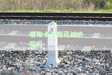 信用卡逾期可以纳税吗？现在如何处理逾期问题？影响出行及使用情况解析