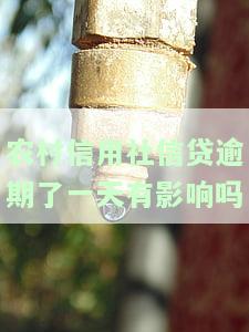 农村信用社信贷逾期了一天有影响吗，农村信用社：信贷逾期一天会产生影响吗？