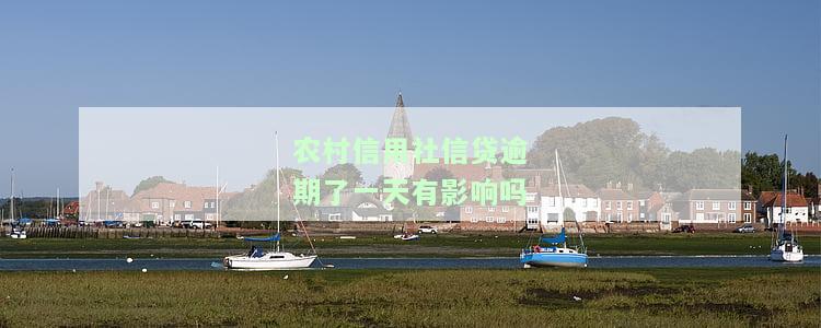 农村信用社贷款逾期一天对以后贷款有影响吗？答案及解决办法