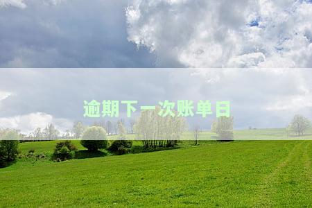 逾期下一次账单日