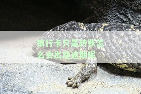 银行卡转账时名字错误、不或异常，能否成功并显示对方信息？