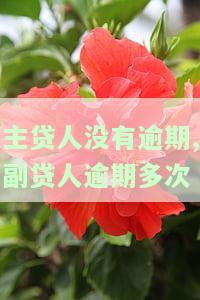 主贷人逾期次贷人会有不良记录么，主贷人逾期，次贷人是否会受影响？