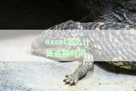 excel怎么计算逾期天数，如何在Excel中计算逾期天数？