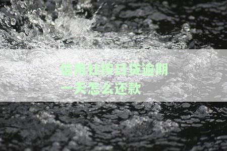 信用社贷款逾期一天怎么办？影响大吗？是否会上征信？