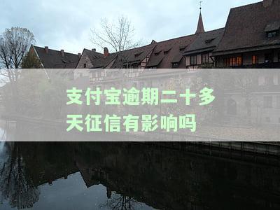 支付宝逾期二十多天征信有影响吗-支付宝逾期二十多天征信有影响吗知乎