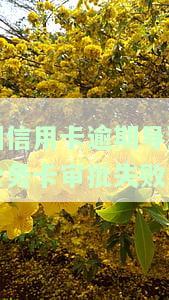 因信用卡逾期导致公务卡审批失败-因信用卡逾期导致公务卡审批失败怎么办