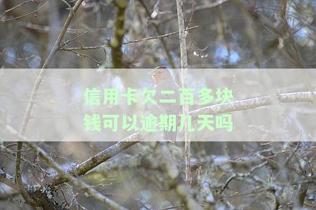 信用卡200多块钱逾期，信用卡逾期200多元，应该如何处理？