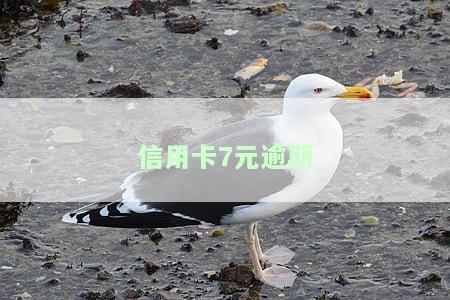 2021年信用卡逾期7天，警示：信用卡逾期7天可能带来的后果！
