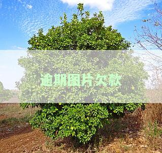 逾期图片截图，重要提醒：逾期未处理的图片截图需尽快处理！