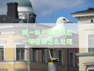 同一帐户两笔贷款一笔逾期怎么处理呢，如何处理同一账户下的两笔贷款中的一笔逾期？