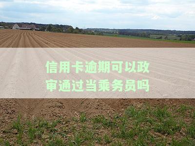 信用卡逾期可以政审通过当乘务员吗-信用卡逾期可以政审通过当乘务员吗知乎