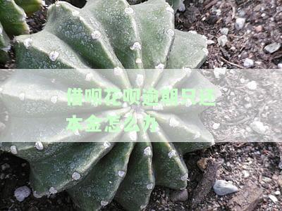 花呗借呗逾期的还了,剩下的没还完会怎样，未还清花呗、借呗逾期款，会产生什么后果？