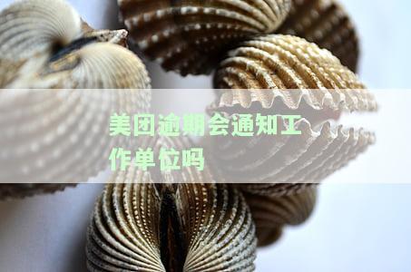 美团逾期会给单位打电话吗？探讨美团欠款催收方式