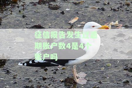 征信报告发生过逾期账户数4，是4个账户吗？如何处理逾期情况？