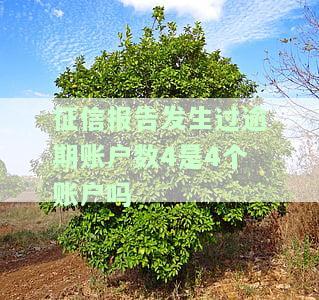 征信报告发生过逾期账户数4是4个账户吗怎么办，如何处理征信报告中显示的逾期账户数为4的情况？
