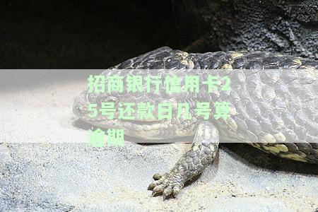 招商信用卡25号账单日几号还款，何时还款？理解招商信用卡25号账单日后的还款日期
