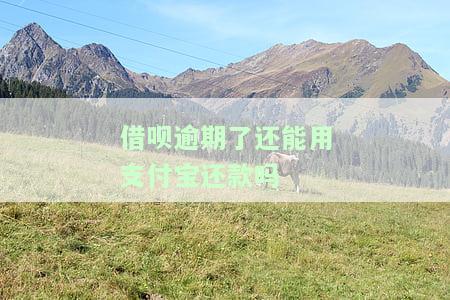 借呗逾期了还能用支付宝还款吗-借呗逾期了还能用支付宝还款吗