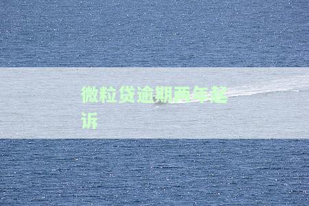 微粒贷逾期两个月起诉：后果、拘留及诉讼有效性全解析