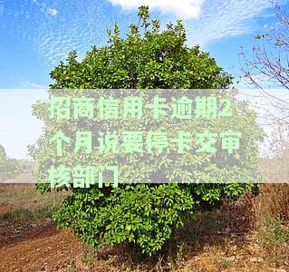 招商逾期2个月停卡了怎么办？逾期严重，影响使用，如何处理？