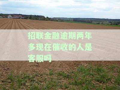 招联金融逾期两年多现在催收的人是客服吗，招联金融逾期两年，目前的催收人员是客服吗？