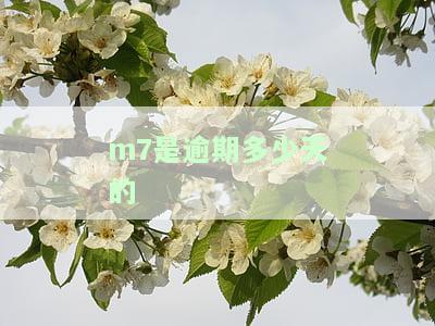 逾期m6是多少天的，了解逾期M6：什么是逾期M6？逾期M6多少天算严重？