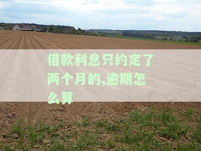 借款利息只约定了两个月的,逾期怎么算-借款利息只约定了两个月的,逾期怎么算