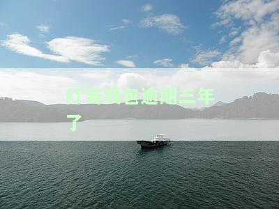 叮当钱包逾期上征信怎么协商还款，如何协商解决叮当钱包逾期并避免上征信？