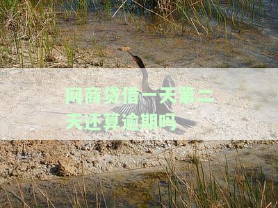 网商贷借一天第二天还算逾期吗，网商贷借款逾期规则：第一天借款第二天算逾期吗？