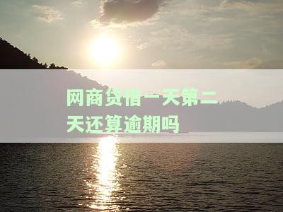 网商贷借一天可以第二天还清吗，网商贷借款：第二天能否还清？