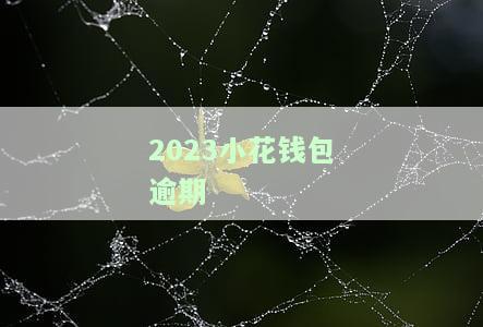 小花钱包逾期了一年还会不会在催收要，一年未还小花钱包：催收是否仍在进行？